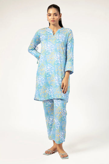 Light Blue Printed 2PC