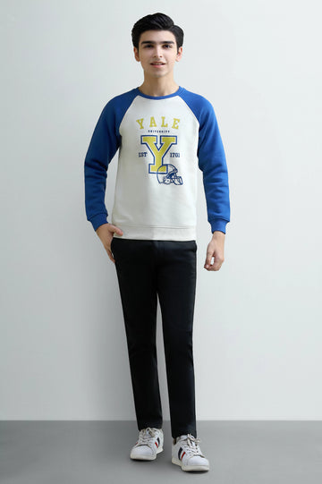 Graphic Print Boys Sweatshirt