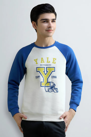 Graphic Print Boys Sweatshirt