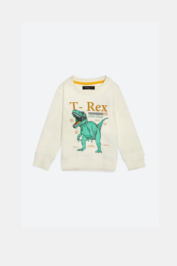 T-Rex Graphic Boys Sweatshirt