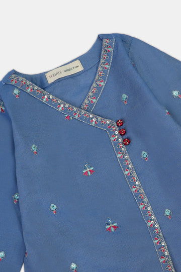 Blue Embroidered Infant 2PC