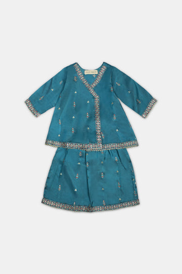 Blue Embroidered Infant 2PC