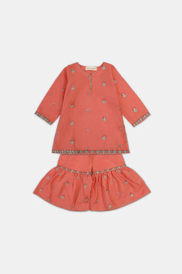 Light Orange Embroidered Infant 2PC