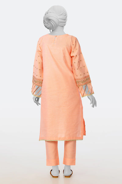 Embroidered 2PC From Sohaye By Diners