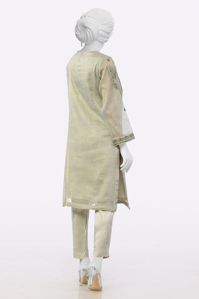 Beige Embroidered 2PC From Sohaye By Diners