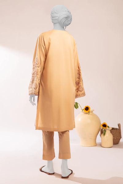 Beige Embroidered 2PC From Sohaye By Diners