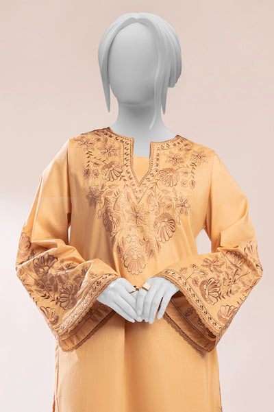 Beige Embroidered 2PC From Sohaye By Diners