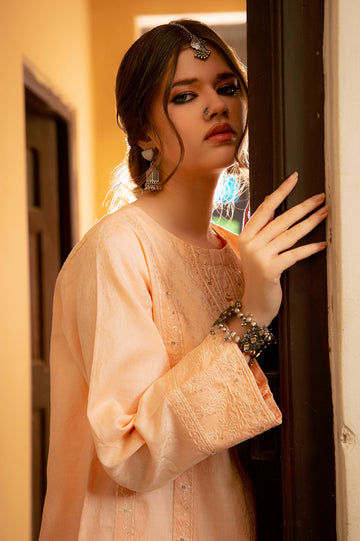 Peach Embroidered 2PC
