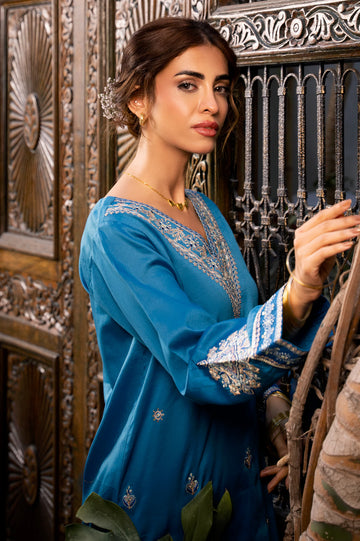 Blue Embroidered 2PC
