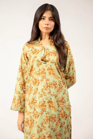 Parrot Green Printed 2PC