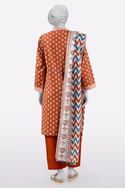 Brown Printed 3PC From Sohaye By Diners