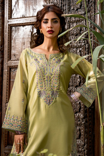 Light Green Embroidered Kurti