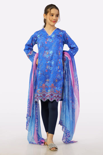 Blue Printed Embroidered Kurti & Dupatta