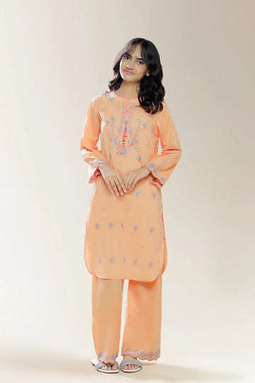 Embroidered Peach Teens 2PC