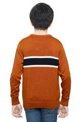Boys Sweaters In Brown SKU: KBE-0171-BROWN - Diners