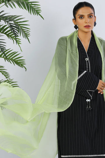 Ladies Stoles/Dupatta - Diners