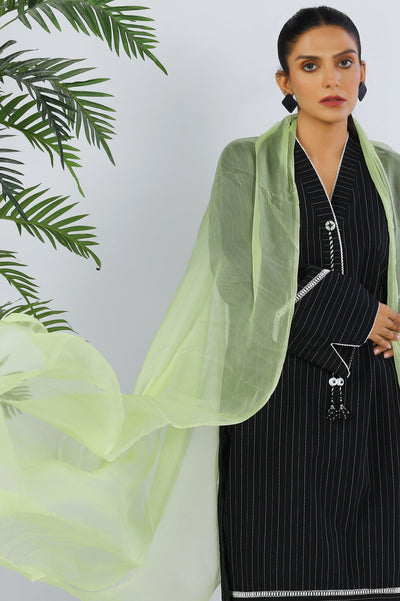 Ladies Stoles/Dupatta - Diners