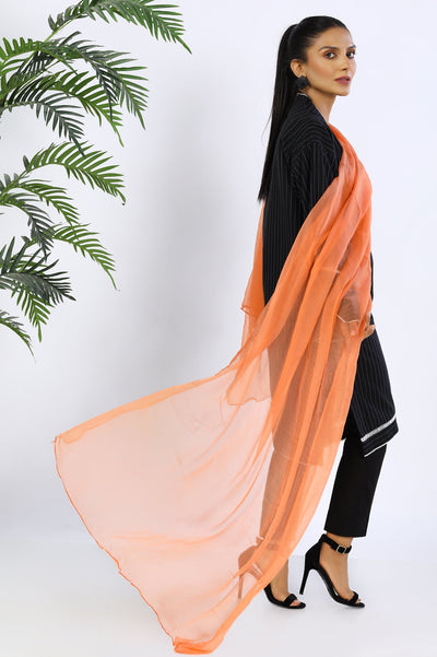 Ladies Stoles/Dupatta - Diners