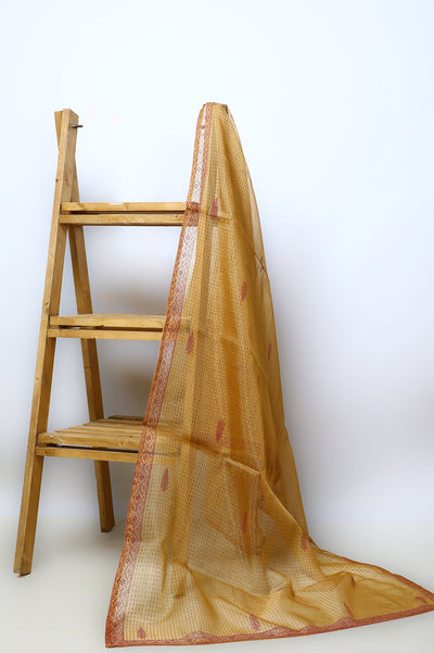 Ladies Stoles/Dupatta SKU: WD0164-MUSTARD - Diners