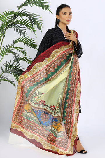 Ladies Stoles/Dupatta - Diners