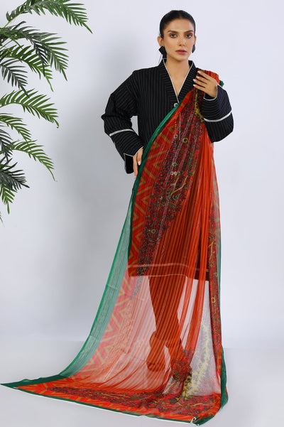 Ladies Stoles/Dupatta - Diners