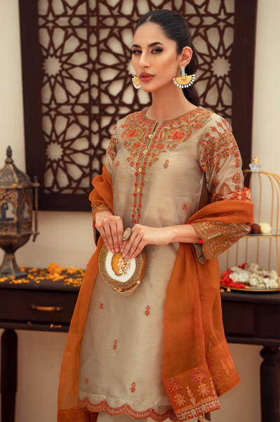 Women Stitched 3 Pcs Suit - Diners