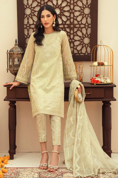 Women Stitched 3 Pcs Suit - Diners