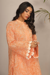 Unstitched 2 Pcs Lawn Printed Shirt & Printed Trouser - Diners